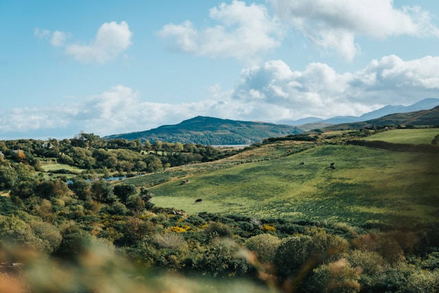 Sustainability in Irish Whiskey Production